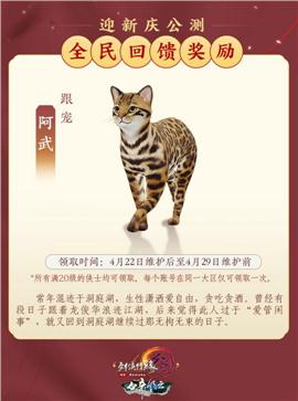 水浒版天龙八部私服